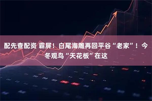 配先查配资 霸屏！白尾海雕再回平谷“老家”！今冬观鸟“天花板”在这